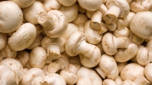CNSP: Otrăvirile cu ciuperci iau amploare