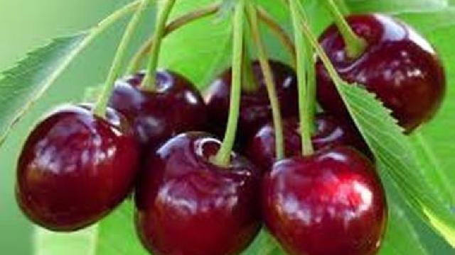 cherry ajuta la pierderea in greutate