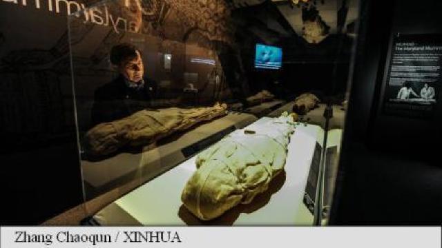 A fost descoperită prima mumie cu tatuaje complexe