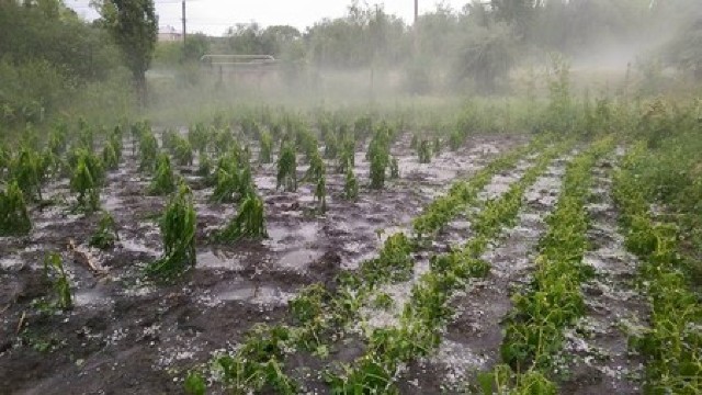 Ploaia de sâmbătă a făcut pagube în mai multe localități
