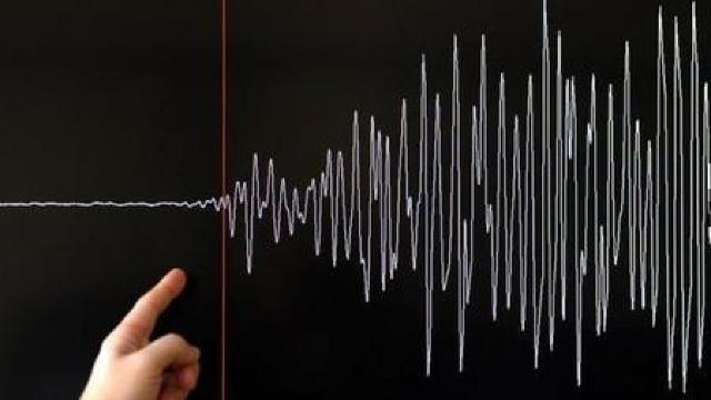 Cutremur de peste 4 grade în Marea Neagră 