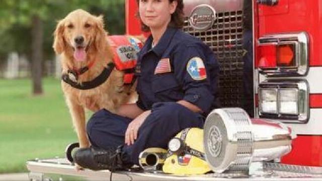 Ultimul câine salvator din 11 septembrie 2001 rămas în viață a fost eutanasiat