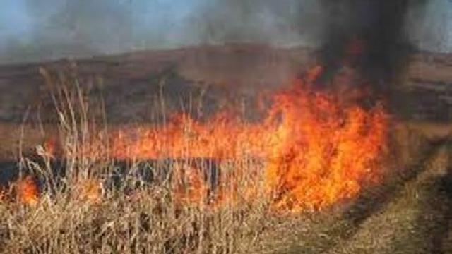 Meteorologii anunță pericol excepțional de incendiu și au emis Cod galben