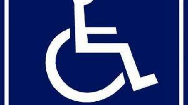 Parteneriat pentru incluziunea în societate a persoanelor cu dizabilități 
