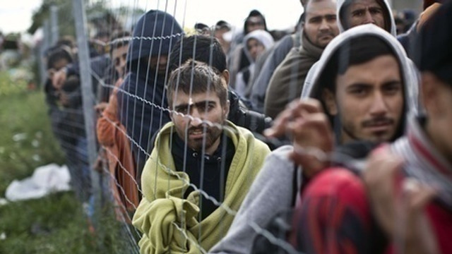Un număr de 17 jihadiști ai SI au intrat în Europa dându-se drept refugiați