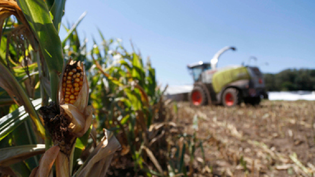 Raport ANSA | Fermierii se conformează cererii și exportă tot mai multe produse agricole