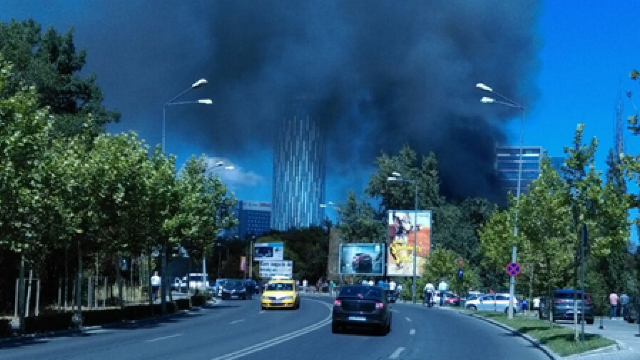 Incendiul de vegetație la București (FOTO)