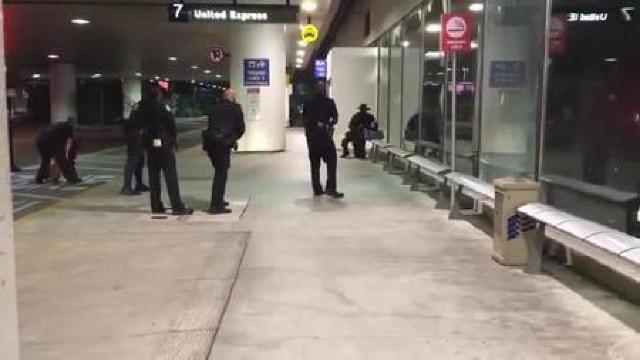 ALERTĂ pe aeroportul din Los Angeles: poliția a arestat un bărbat costumat în Zorro 