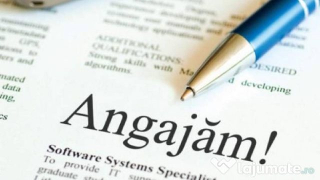 România: Rata șomajului a scăzut la 6%