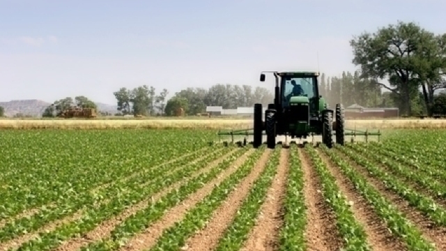 Suport financiar pentru agricultorii afectați de calamitățile naturale 