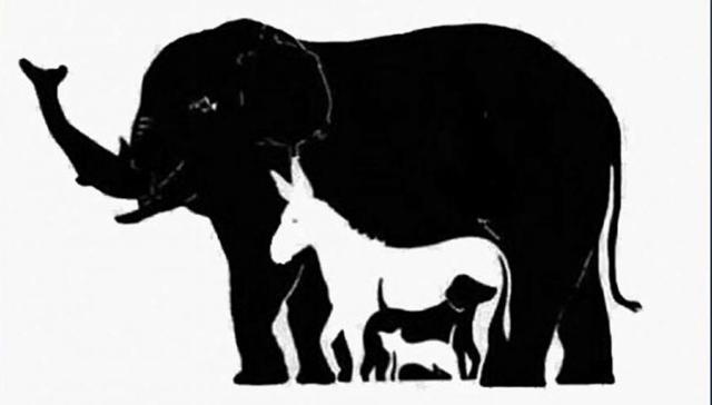 Puzzle-ul care a stârnit controverse puternice. Câte animale găsești în imagine?