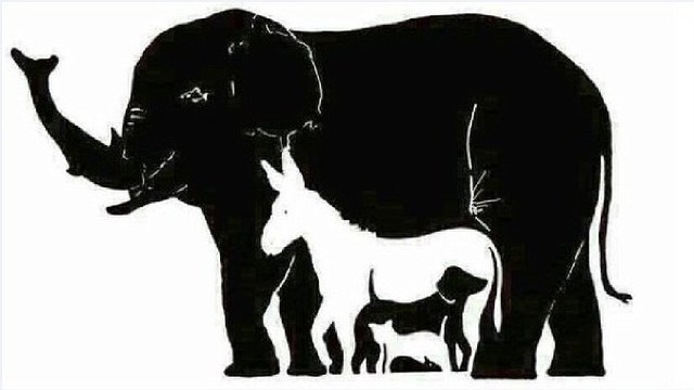 Puzzle-ul care a stârnit controverse puternice. Câte animale găsești în imagine?