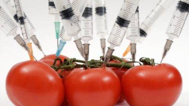 Ministerul Mediului a elaborat un proiect referitor la organismele modificate genetic, dar fără un mecanism de implementare