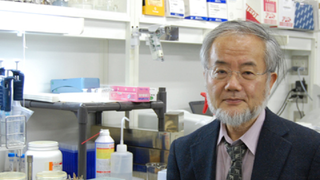 Cercetătorul japonez, Yoshinori Ohsumi, a câștigat premiul Nobel pentru Medicină