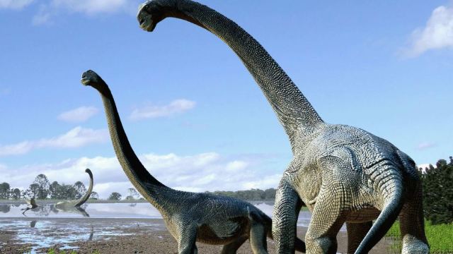 VIDEO | Savannasaurus elliottorum, numele unui dinozaur, cu un corp cât jumătate de teren de baschet 
