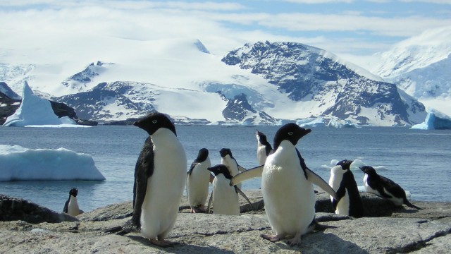 Acord istoric. Cea mai mare rezervație naturală din lume a fost creată în Antarctica 