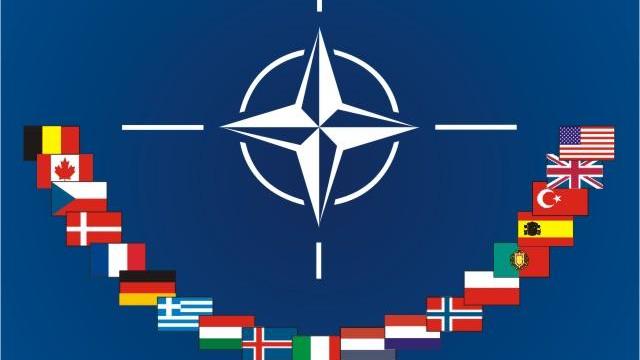 Perspectiva de extindere a parteneriatelor cu NATO, discutată la București