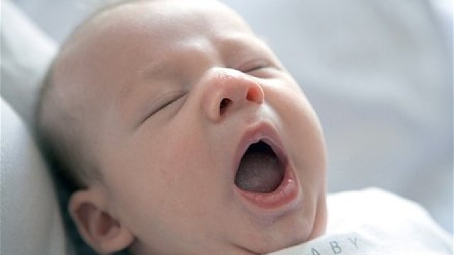 Studiu | Legătura între căscat și mărimea creierului