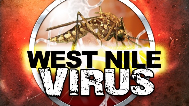 Un bărbat din Iași a murit din cauza virusului West Nile. Alte patru persoane din județ, infestate