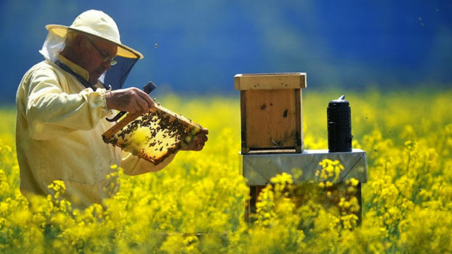 15 apicultori din nord au învățat cum se gestionează un centru apicol 