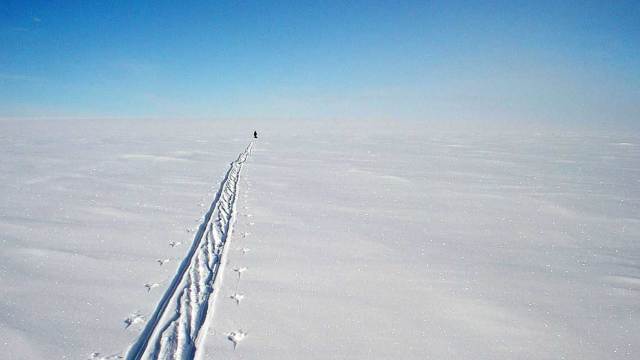 De ce corpul uman simte atât de puternic vremea extremă de la Polul Sud?