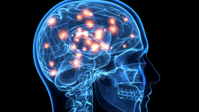 STUDIU | Informații inedite despre creierul uman