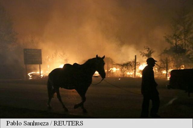 FOTO | Incendiile de pădure din Chile au distrus 190.000 de hectare într-o săptămână. 6 persoane au murit
