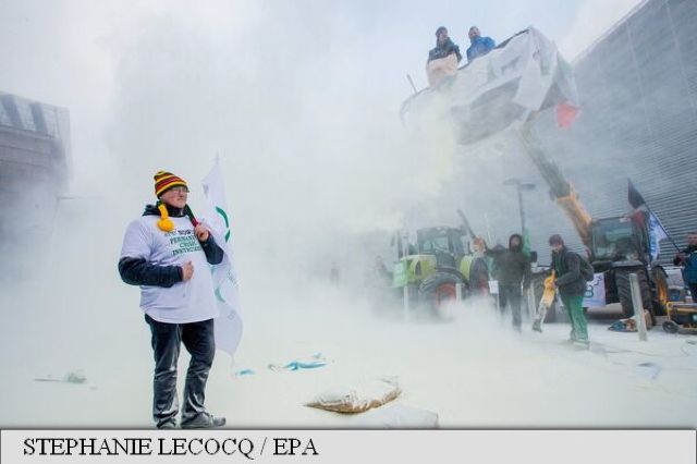 FOTO | Proteste la Bruxelles. A nins cu lapte praf în fața Consiliului European