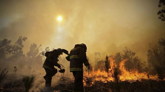 FOTO | Incendiile de pădure din Chile au distrus 190.000 de hectare într-o săptămână. 6 persoane au murit
