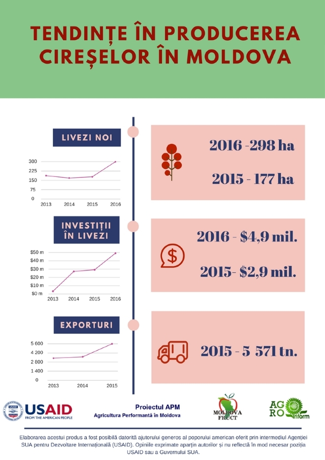 INFOGRAFIC | Sectorul de producere a cireșelor este foarte promițător