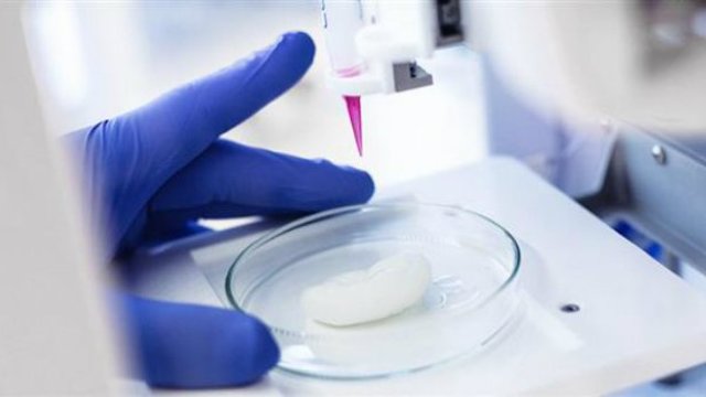VIDEO | Imprimante 3D românești produc țesuturi umane