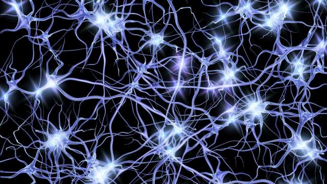 „Viața secretă a neuronilor” | Creierul nostru este mult mai PERFORMANT decât s-a crezut
