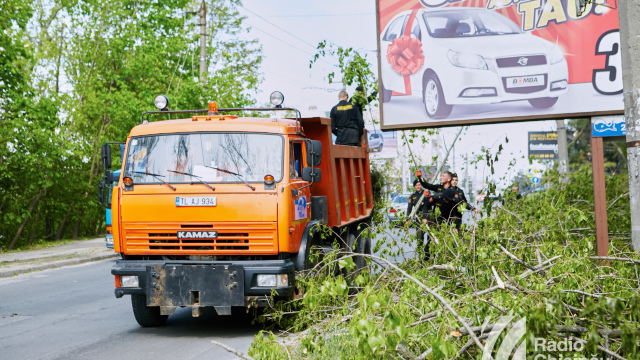 Chișinău | Astăzi continuă lucrările de curățare și evacuare a arborilor