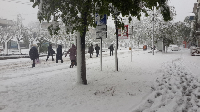 Situație excepțională în Republica Moldova. Stratul de zăpadă a ajuns până la jumătate de metru