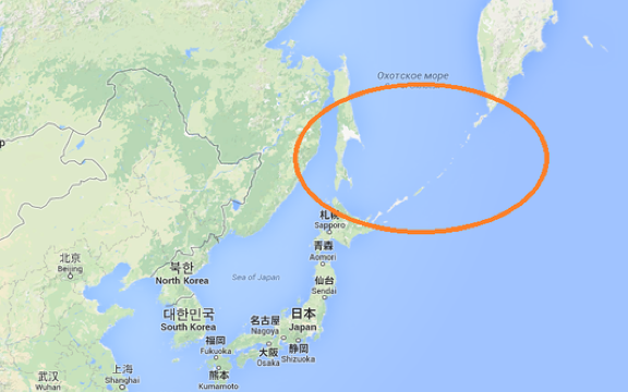 Putin anunță că, în premieră, oficiali japonezi vor vizita insulele Kurile