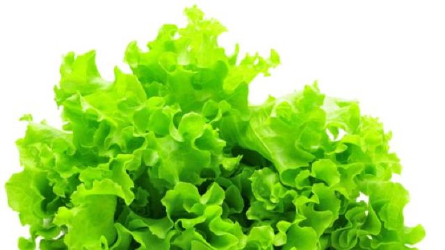 Specialiștii atenționează populația: Salata verde crescută în sere este plină de pesticide