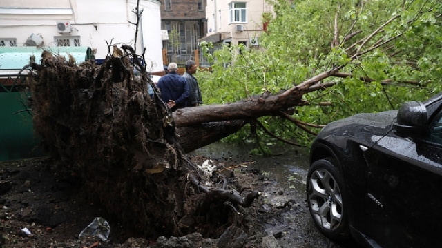 Un copac a căzut peste o femeie; mai multe localități au rămas fără curent electric, în urma vântului puternic