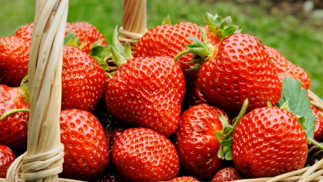 Reacția ANSA la informațiile privind conținutul de nitrați în căpșuni. Ce recomandă experții
