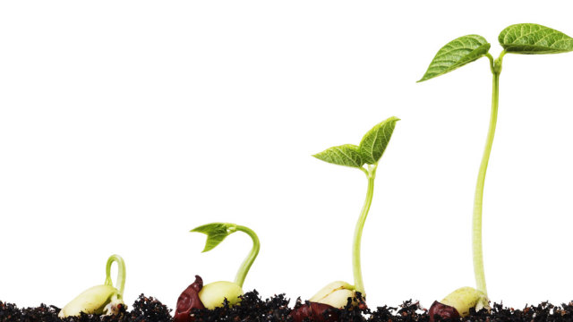 Japonia oferă 4,8 milioane de dolari R.Moldova pentru dezvoltarea agriculturii