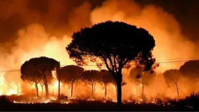 Incendiu într-un parc natural din Spania | Cel puțin 1.500 de persoane evacuate