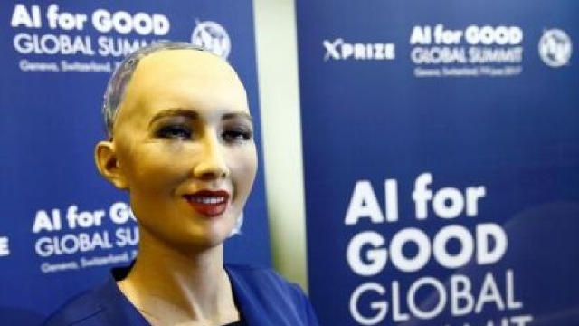 Inteligența Artificială: întâlnire cu un robot (FOTO/VIDEO)