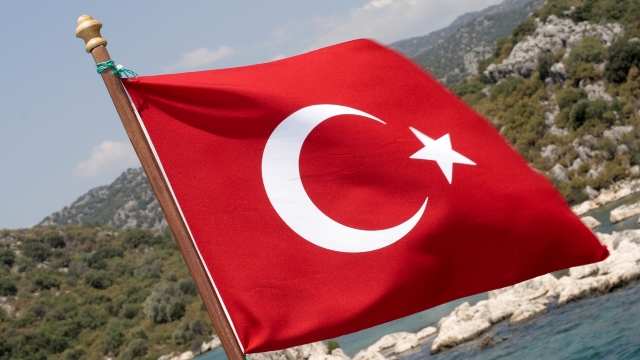 Guvernul turc a lansat demersurile în vederea retragerii cetățeniei a 130 de fugari