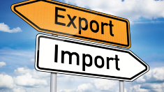 Exporturile R. Moldova, în creștere cu 55%. România rămâne principala piață de destinație 