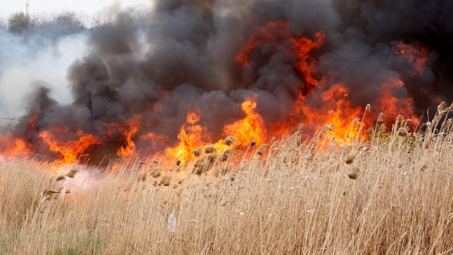 Pompierii atenționează asupra riscului sporit de incendii din cauza caniculei