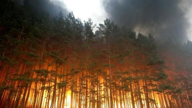 Incendiile de vegetație din SUA și Canada continuă să se extindă