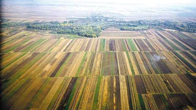 De ce străinii ezită să investească în agricultura din Republica Moldova