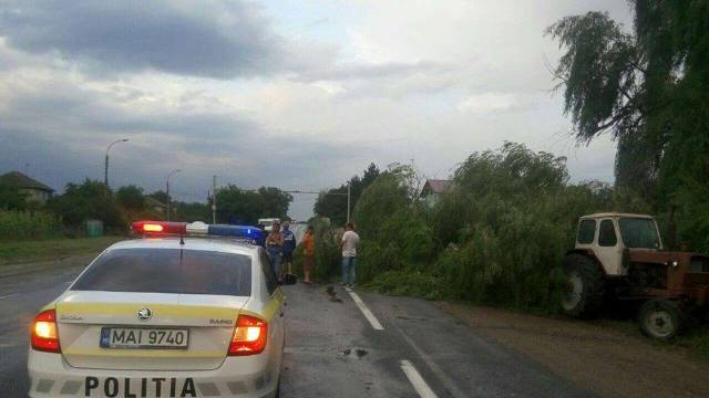 FOTO | Ploaia de aseară a doborât copaci și a lăsat fără lumină 56 de localități