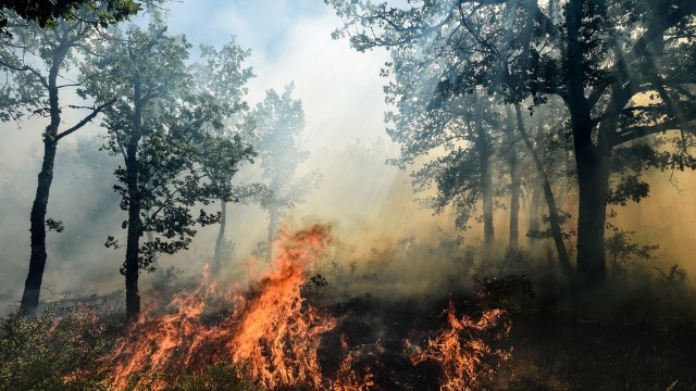 Continuă incendiile în nord-estul Greciei, cu noi focare izbucnite în Peloponez 