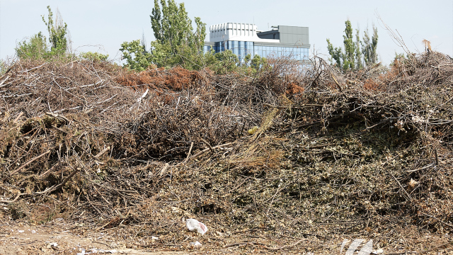 Noi termene de evacuare a crengilor căzute ca urmare a intemperiilor din aprilie, stabilite de CMC