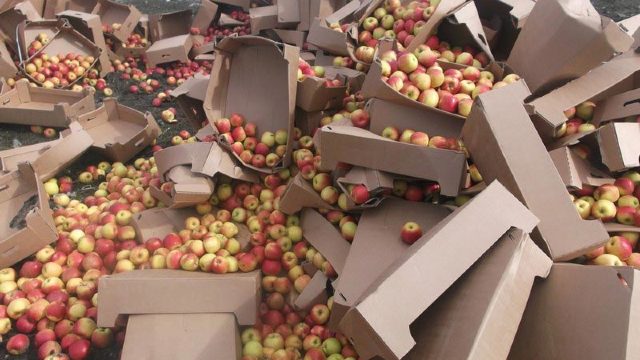 Rosselhoznadzor a distrus 82 de tone de mere din R.Moldova, în Smolensk